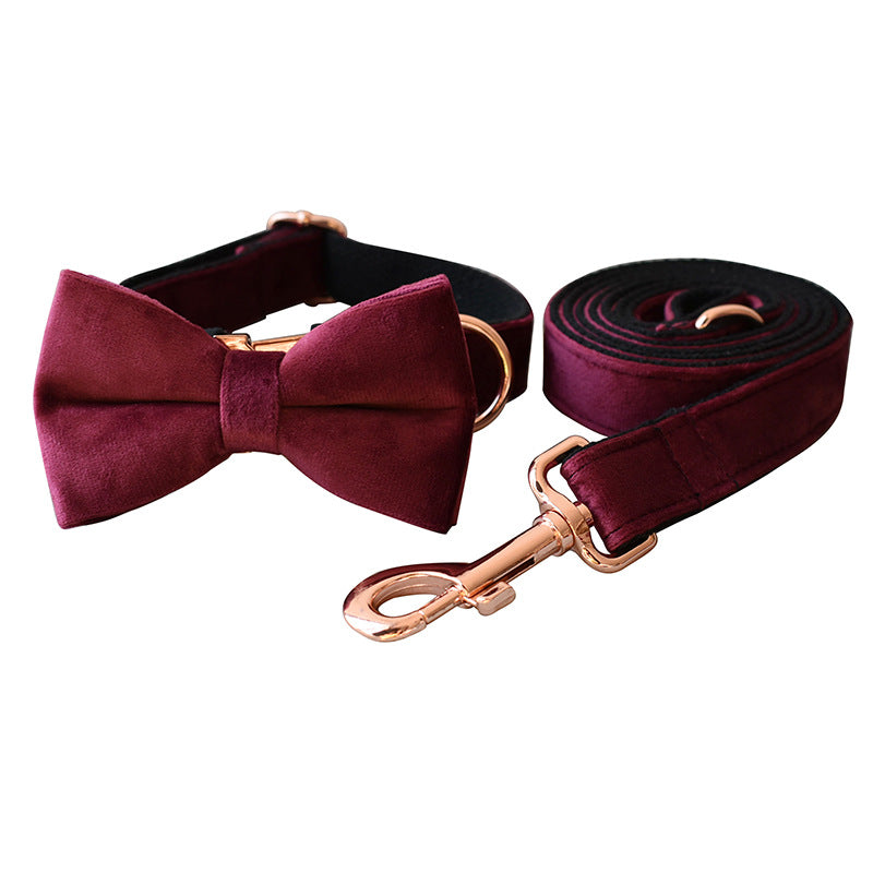 GAIA Comfort Dog Neck Collar