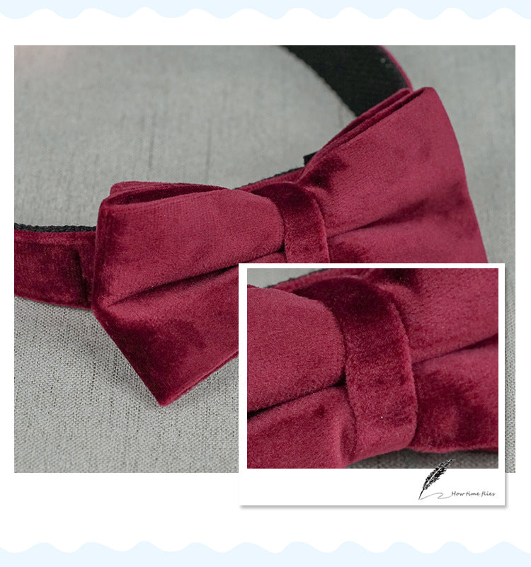 GAIA Comfort Dog Neck Collar
