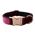 GAIA Comfort Dog Neck Collar