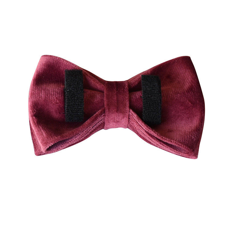 GAIA Comfort Dog Neck Collar