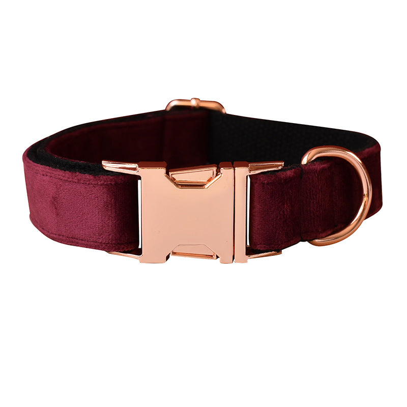 GAIA Comfort Dog Neck Collar