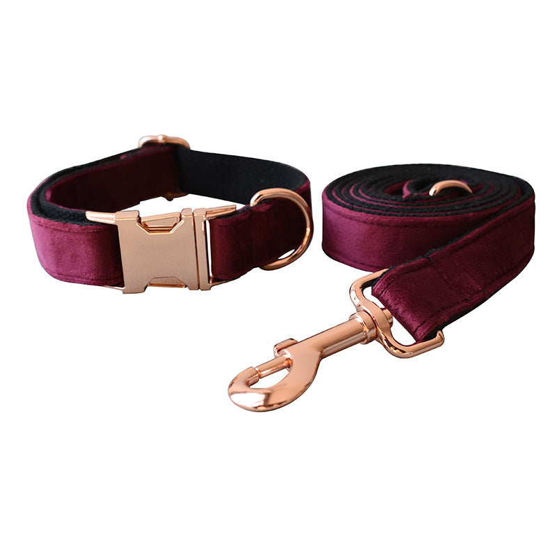 GAIA Comfort Dog Neck Collar